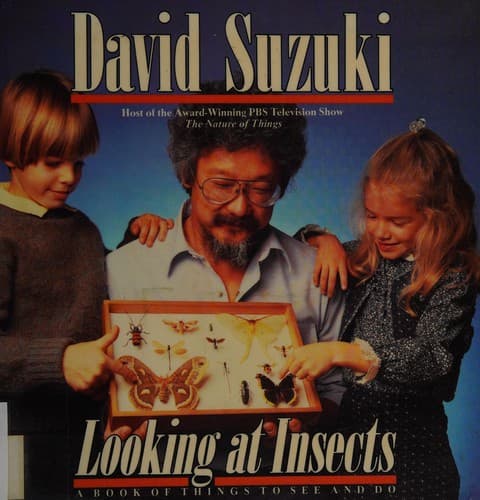Cover image for Looking at insects