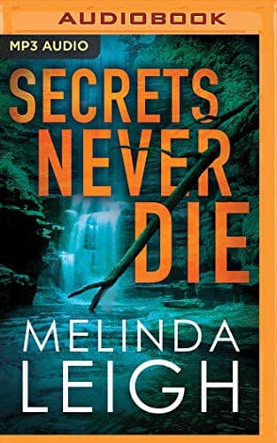 Cover image for Secrets Never Die
