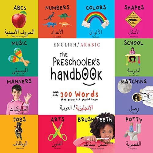 Cover image for The Preschooler's Handbook