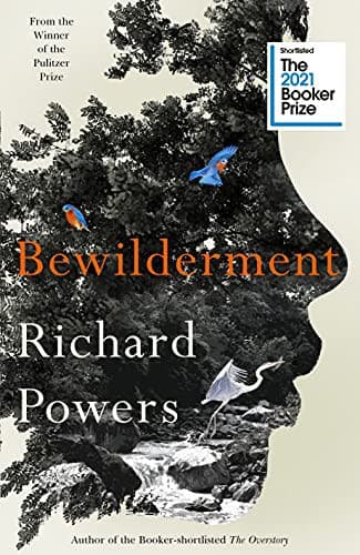 Cover image for Bewilderment
