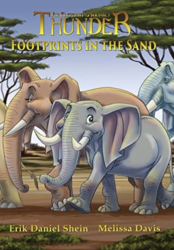 Cover image for Footprints in the Sand