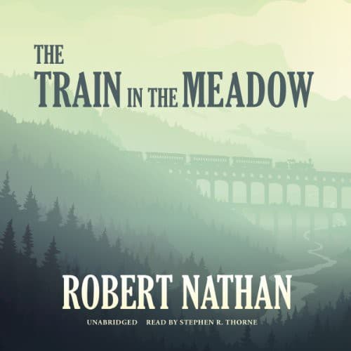 Cover image for The Train in the Meadow