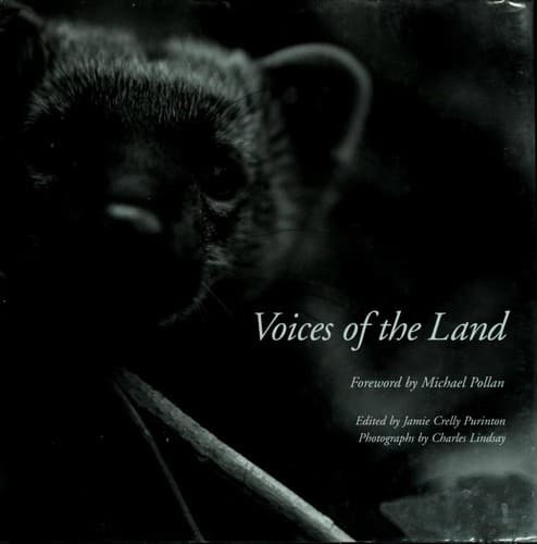 Cover image for Voices of the Land