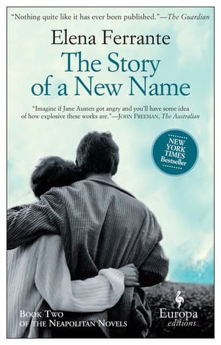 Cover image for The Story of a New Name