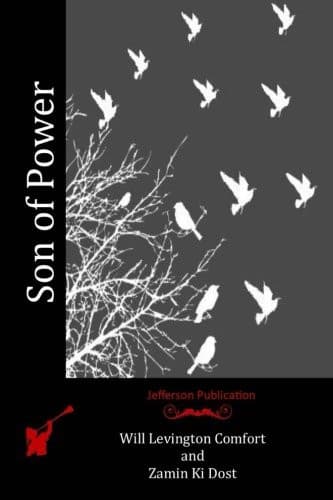Cover image for Son of Power