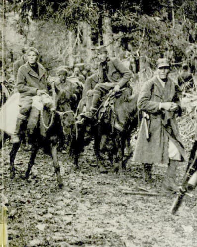 Cover image for Partisans and Guerrillas (World War II)