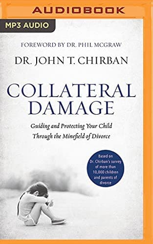 Cover image for Collateral Damage