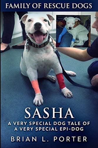Cover image for Sasha