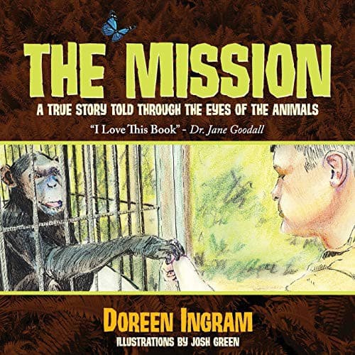 Cover image for The Mission