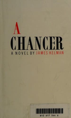 Cover image for A Chancer (Fiction Series)
