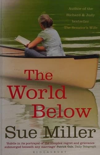 Cover image for The world below