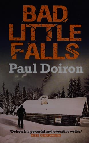 Cover image for Bad little falls