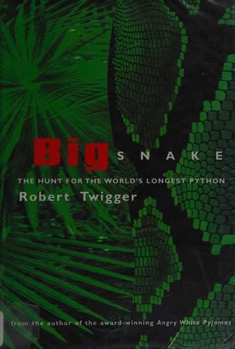 Cover image for Big snake