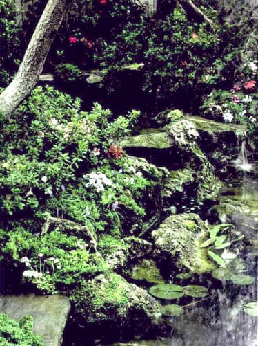 Cover image for Rock and Water Gardens