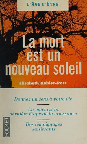 Cover image for La mort est un nouveau soleil