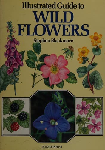Cover image for Illustrated guide to wild flowers