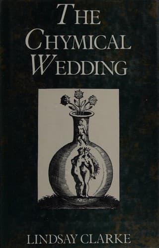 Cover image for The chymical wedding