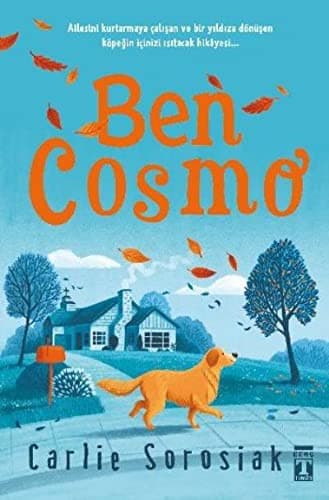 Cover image for Ben Cosmo