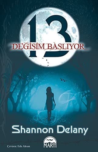 Cover image for 13