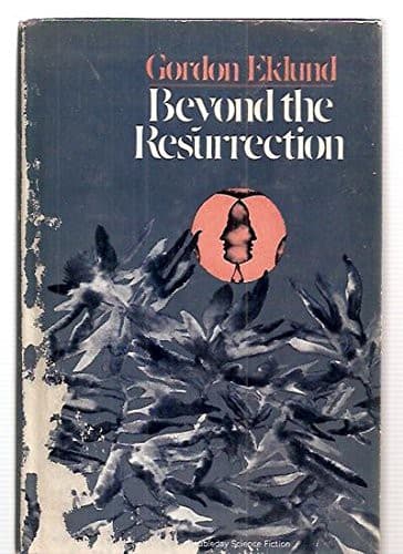 Cover image for Beyond the resurrection.