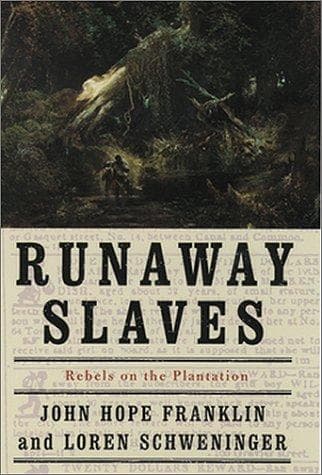 Cover image for Runaway slaves