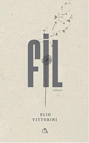 Cover image for Fil