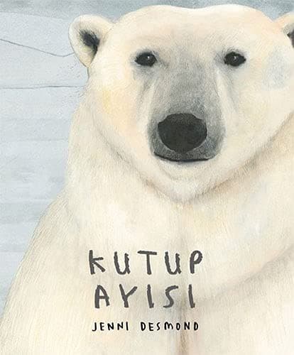 Cover image for Kutup Ayisi