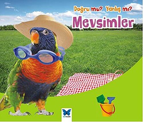 Cover image for Dogru mu Yanlis mi