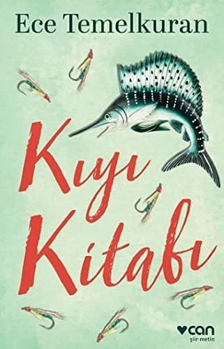 Cover image for Kiyi Kitabi