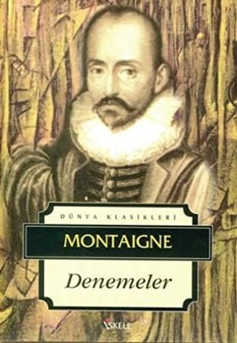 Cover image for Denemeler
