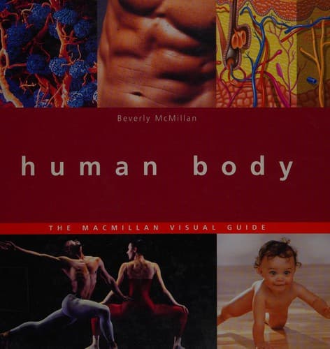 Cover image for The human body