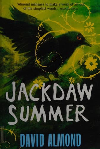 Cover image for Jackdaw summer