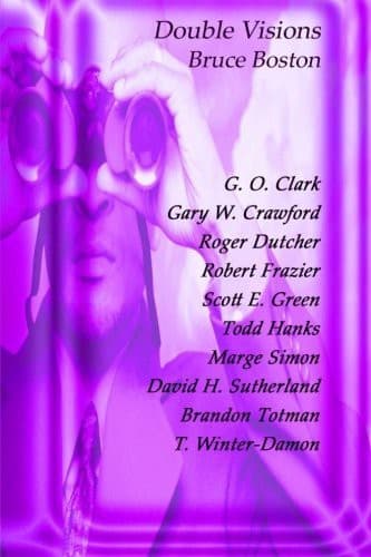 Cover image for Double Visions