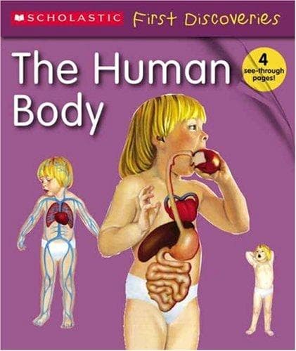Cover image for The Human Body (Scholastic First Discovery)