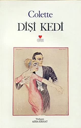 Cover image for Disi Kedi