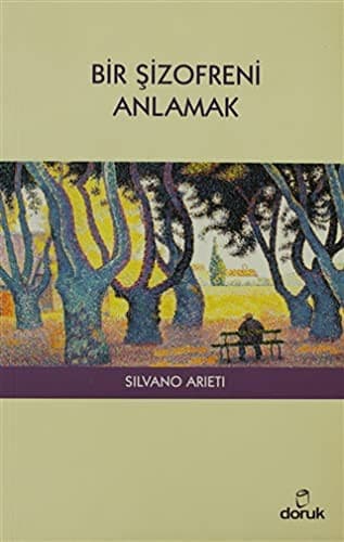 Bir Sizofreni Anlamak