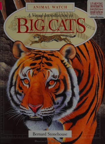 Cover image for A Visual Introduction to Big Cats (Animal Watch)