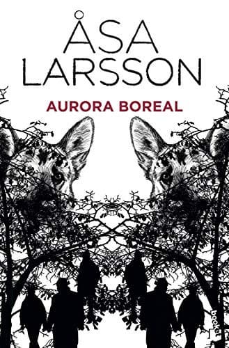 Cover image for Aurora boreal