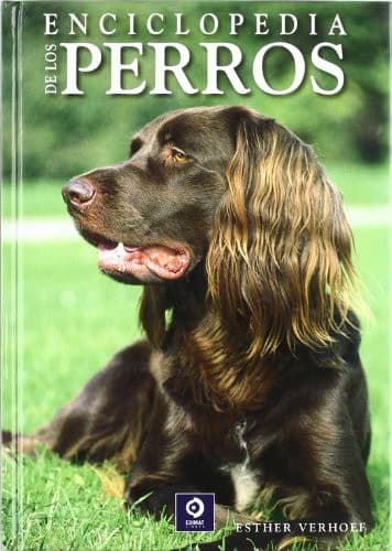 Cover image for Enciclopedia de los perros