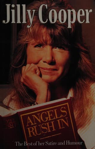 Cover image for Angels Rush in