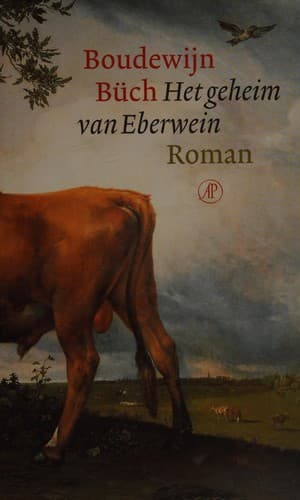 Cover image for Het geheim van Eberwein