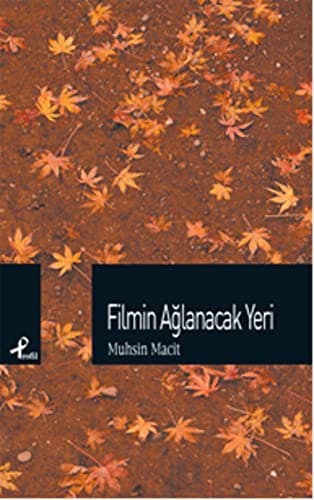 Cover image for Filmin Aglanacak Yeri