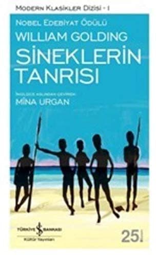 Cover image for Sineklerin Tanrisi
