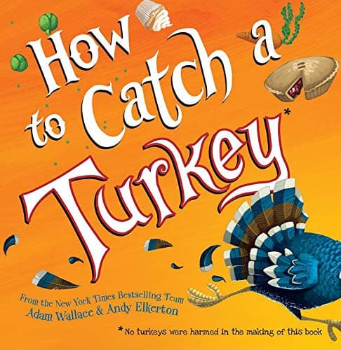 Cover image for How to Catch a Turkey
