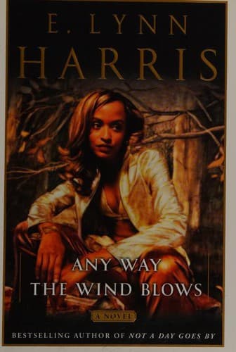 Cover image for Any Way the Wind Blows