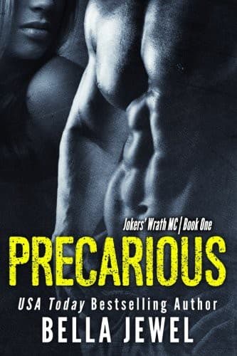 Cover image for Precarious