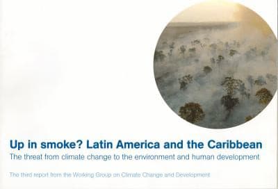 Cover image for Up in smoke?