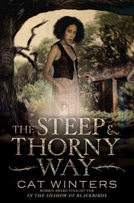 Cover image for The steep & thorny way