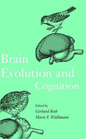 Cover image for Brain Evolution and Cognition