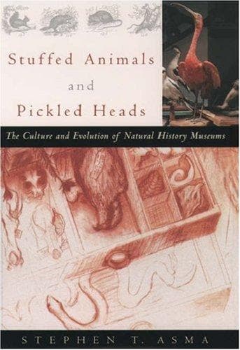 Stuffed Animals and Pickled Heads
